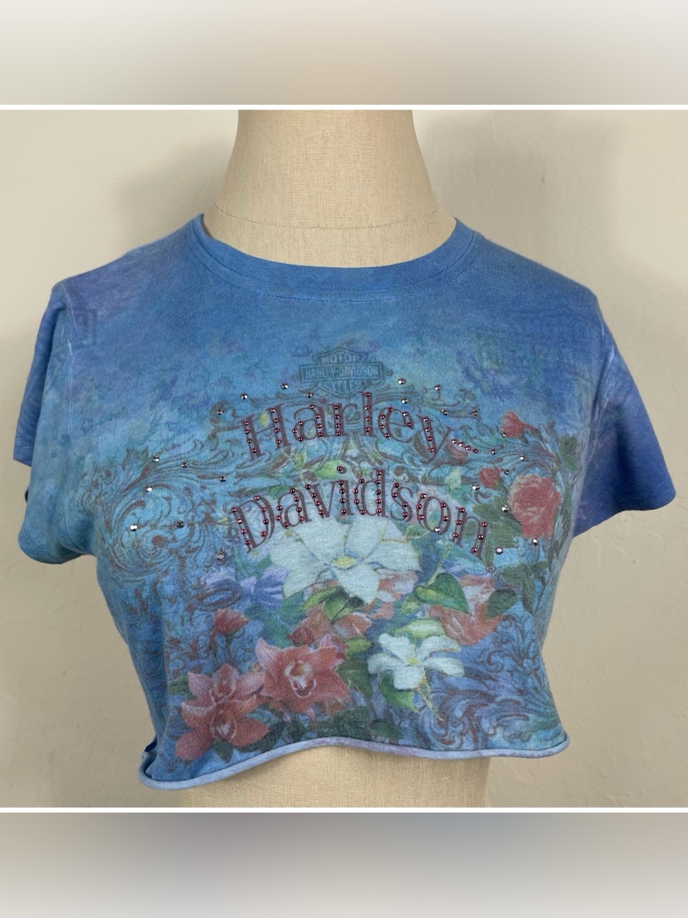 Y2k Floral Harley Davidson Cropped Blue Michigan T-Shirt